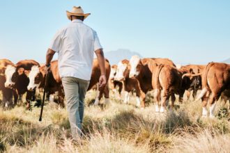 Antonio Augusto de Souza Coelho