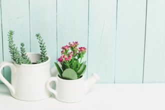 Paulo Augusto Berchielli