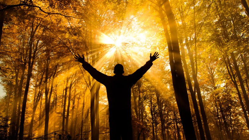 Saiba com Jose Eduardo Oliveira e Silva o valor espiritual da reverência como expressão de respeito e adoração. Conteúdo de Jose Eduardo De Oliveira e Silva.